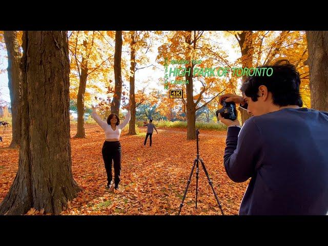 High Park Toronto Fall Foliage | Autumn in Touring Canada