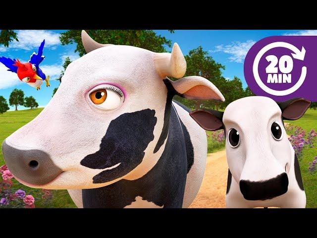 Lola is Having a Baby Calf and More Kids Songs & Nursery Rhymes