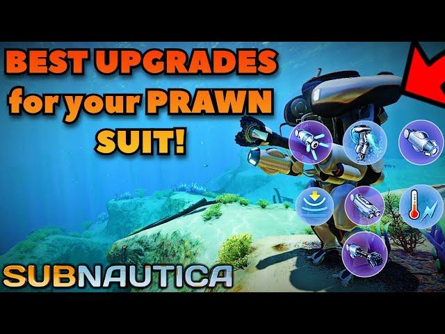 BEST UPGRADES for the Ultimate PRAWN SUIT