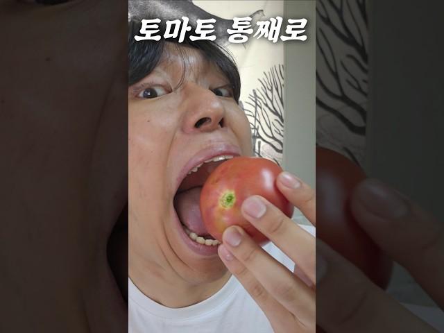 설탕토마토를 한입에 넣어봤습니다