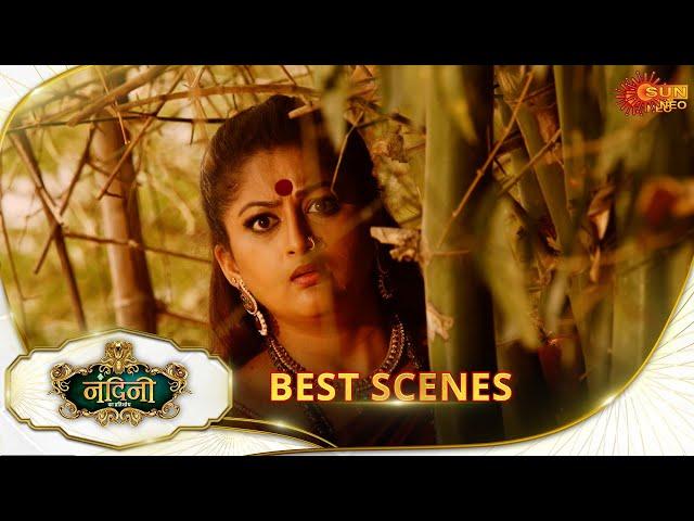 Nandini Ka Pratishod(नंदिनी का प्रतिशोध)  - Best scene | 16 Dec 2024|Full Ep FREE on SUN NXT|SunNeo