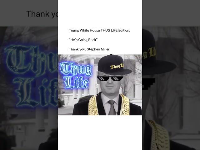 Brutal  #thuglifeedition #Trump #stephenmiller #savagemoments