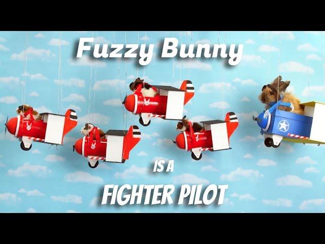 Fuzzy Bunny is a Fighter Pilot (ep.1)