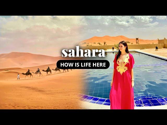 How is Life in the Sahara Desert? | Exploring Camel Culture in Morocco 