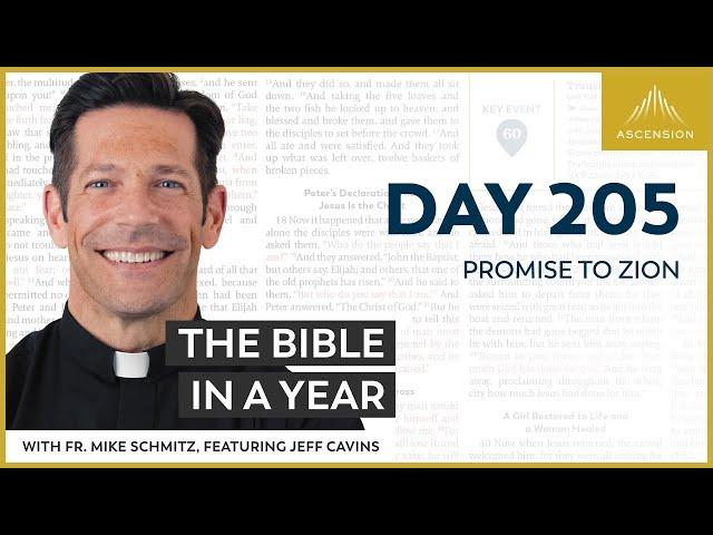 Day 205: Promise to Zion — The Bible in a Year (with Fr. Mike Schmitz)