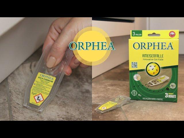 Orphea - Ameisenfalle