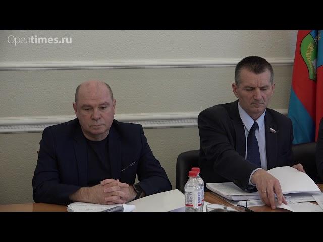 Зарплату директоров госкомпаний орловские депутаты призвали формировать, исходя из доходов