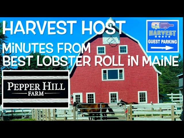 Pepper Hill Farm South Thomaston, Maine Harvest Host Review