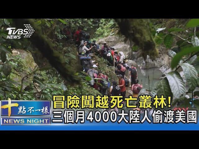 冒險闖越死亡叢林! 三個月4000大陸人偷渡美國｜十點不一樣20230417  @TVBSNEWS02