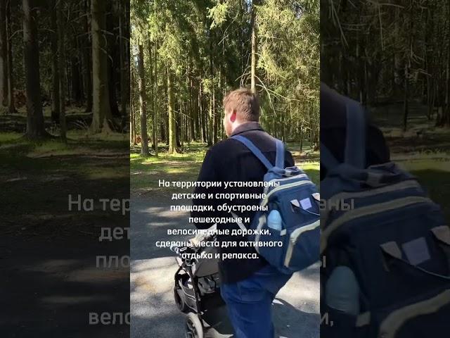 Куда поехать с детьми в Подмосковье #shorts #подмосковье