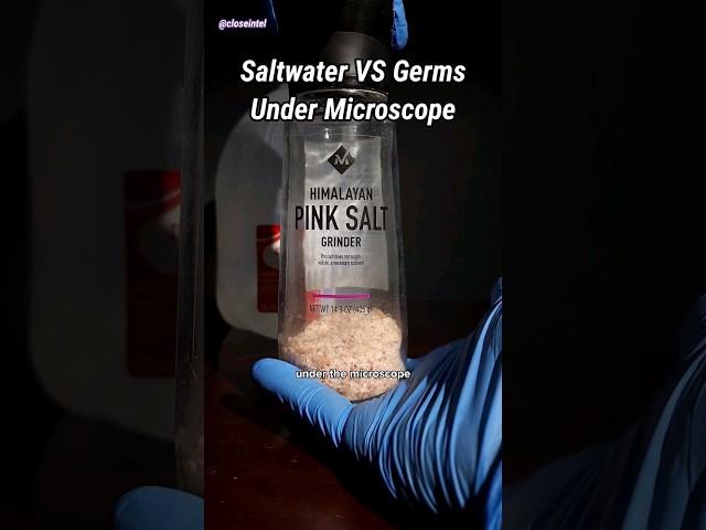 Saltwater VS Germs Under Microscope (Pink Salt)