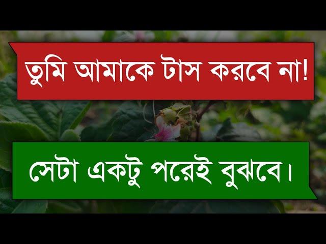 সিনিয়র বউ || Senior wife || Bangla Romantic Story - Tanvir's Voice