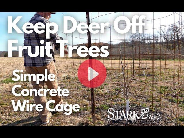 Keep Deer Off Fruit Trees - Fruit Tree Cage