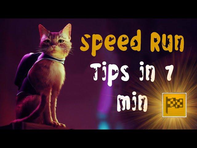 Tips on How to get " I Am Speed achievement " Easily - Stray