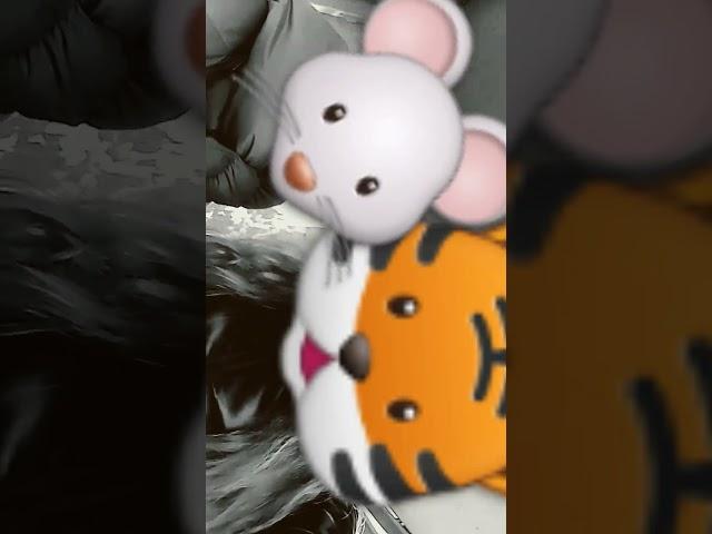 #billieeilish