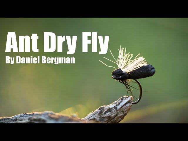 Ant Dry Fly by Daniel Bergman