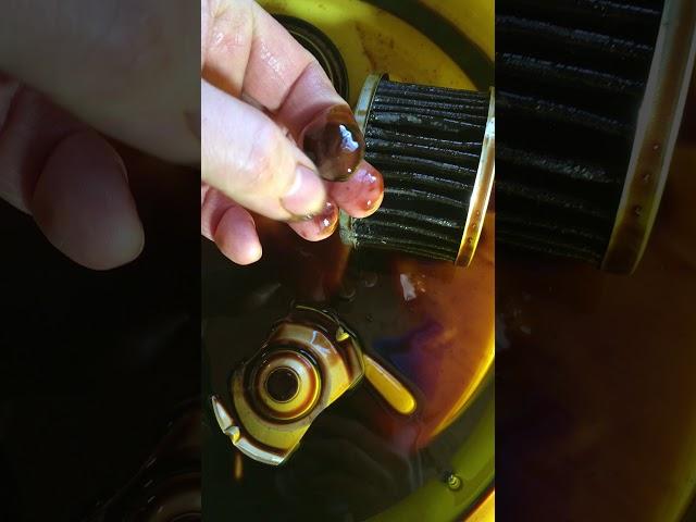 Amsoil filter after 5,000 miles (first use of Amsoil)