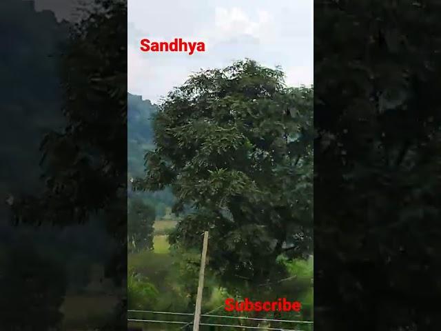 travel video#shorts video#sandhya