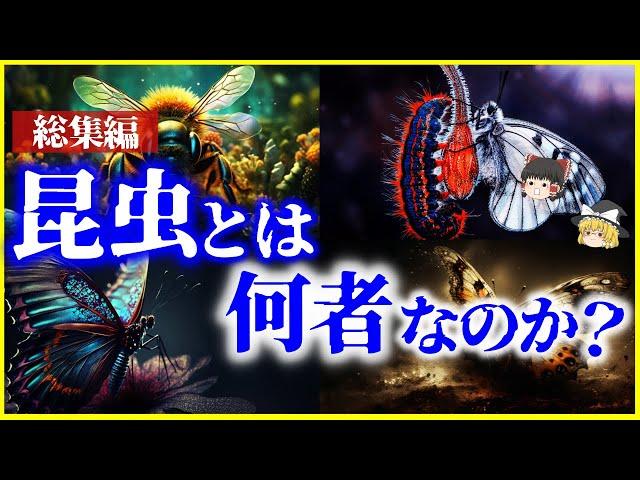 【ゆっくり解説】【総集編】地球史上最も特異な存在…「昆虫」とは何者なのか？を解説【作業用】【睡眠用】