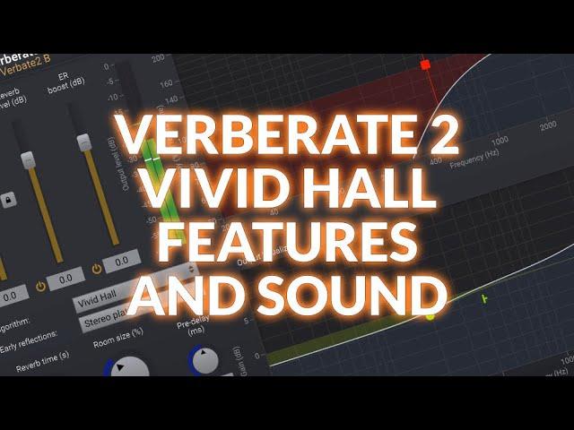 We Explain Vivid Hall In Acon Digital Verberate 2