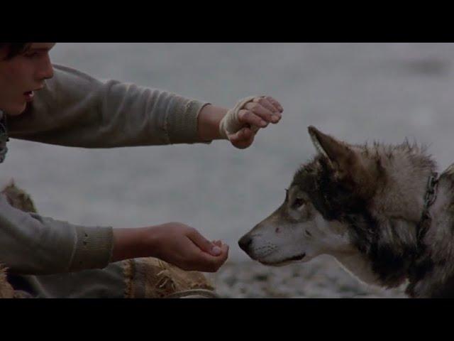 White Fang (1991) | Taming Scene