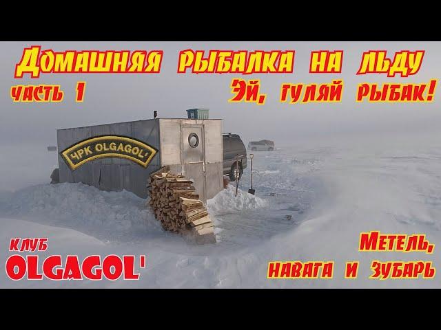 Домашняя рыбалка в метель на льду в п. Лазарев 2024, День 1 Эй, гуляй рыбак!