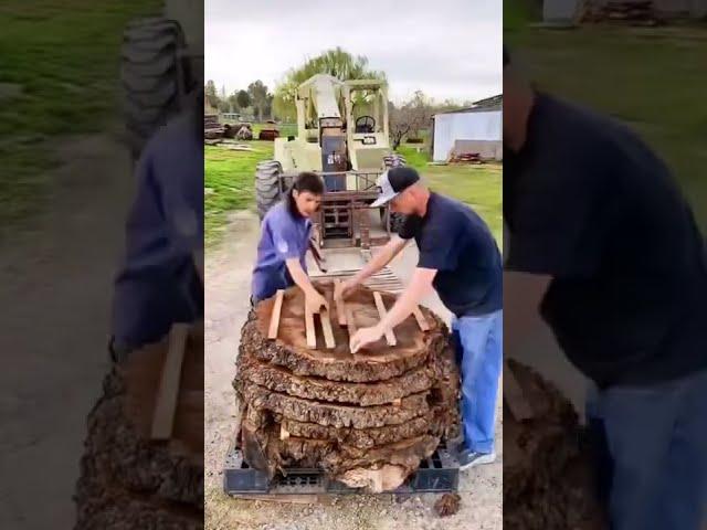 Salvaging Logs in the San Francisco Bay Area - Eric Christopher Art - Live Edge Wood Slabs