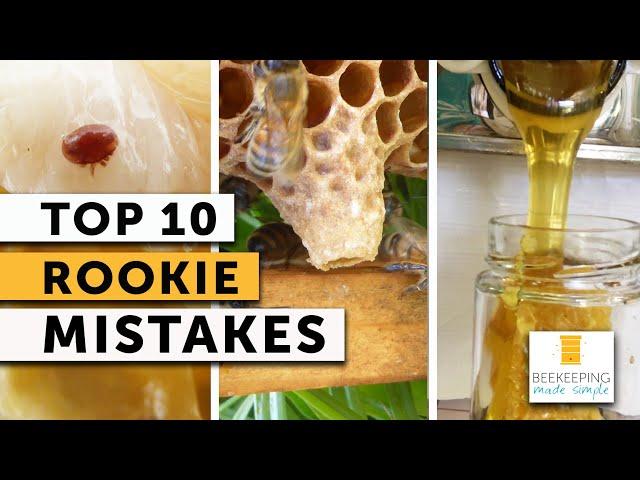 ROOKIE BEEKEEPER MISTAKES Advice After 12 Years of Beekeeping