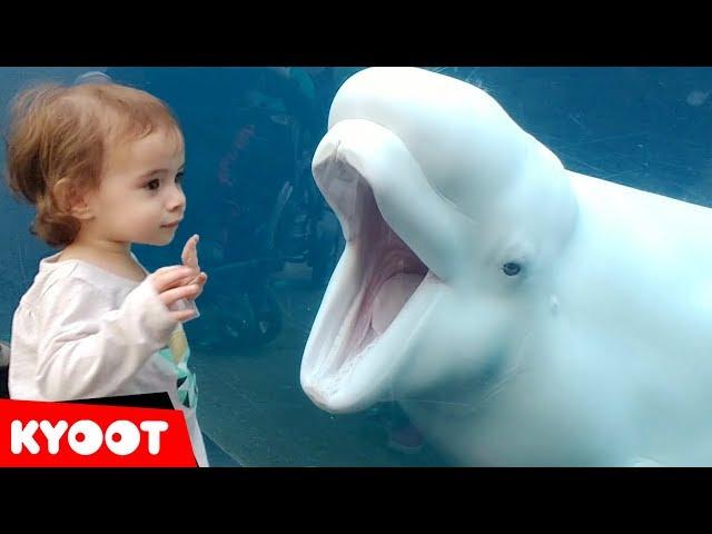 Funny Kids at the Aquarium | Girl SPOOKED By A Beluga Whale!