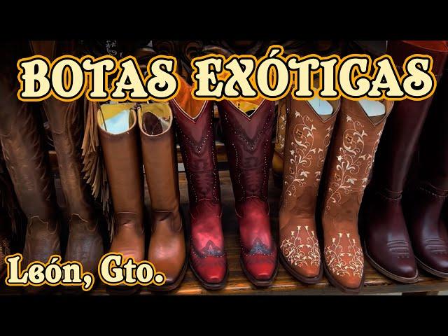 Botas de canguro hipopótamo elefante Mantarralla menudo pescado al +52 4772293772 y +52 4774143260