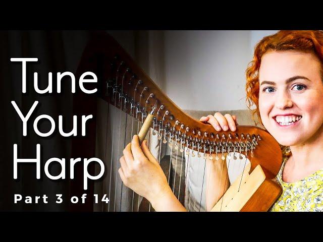 How to Tune a Harp for the FIRST TIME (#3 of 14)