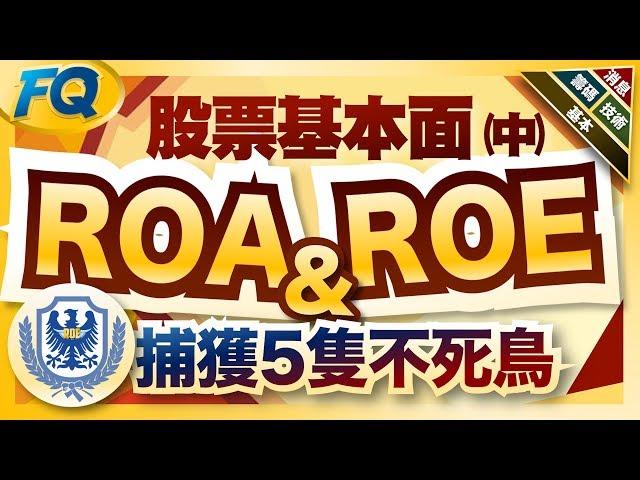 0050也藏有ROE不死鳥啊！新手學基本面二大指標 評估企業賺錢能力 | 夯翻鼠FQ26 股票投資