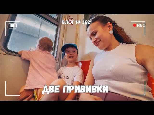 Поставили две прививки | Успеть все! | Выводим муравьев  -  ВЛОГ №3621 - 04.06.25