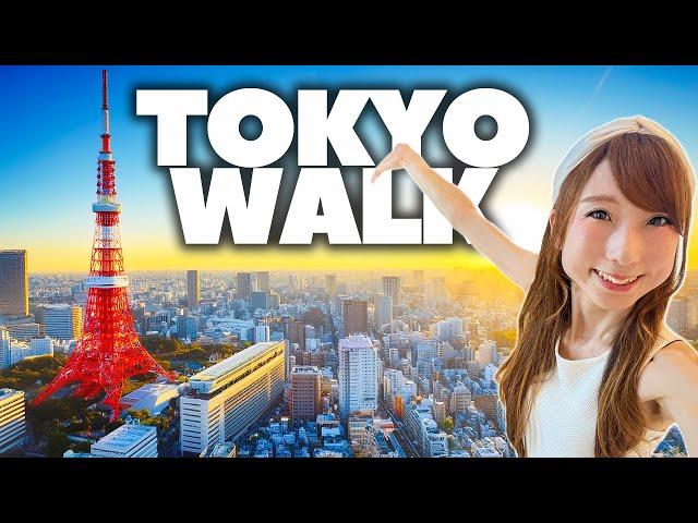 Live Walk - Japan's Most Fantastic Area!