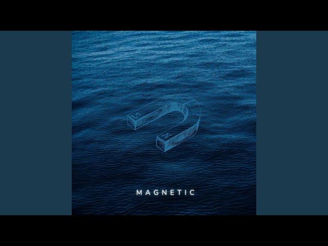 Magnetic (Inst.)