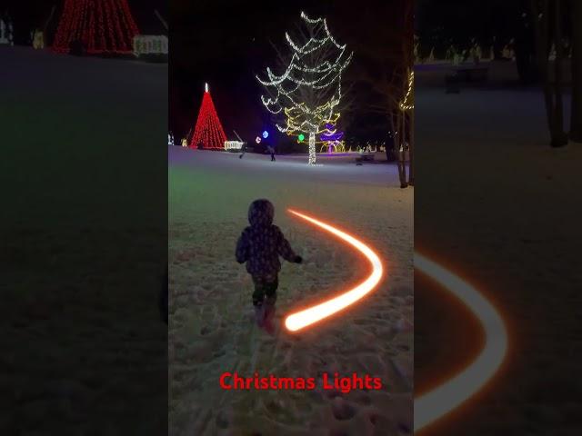 Christmas Lights in Brantford 2024 #christmas #christmaslights #brantford #canada #tree #viralvideo