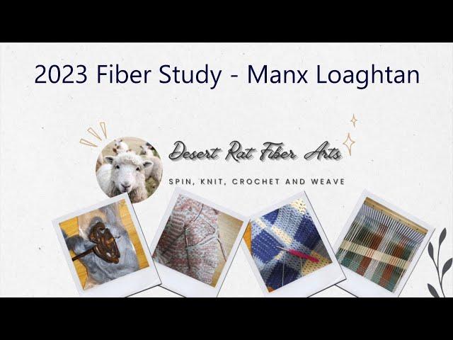 2023 Fiber Study - Manx Loaghtan