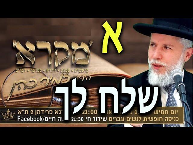 הרב זמיר כהן | פרשת שלח לך | מומלץ מאוד | תהנו ~ פרשת שבוע