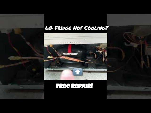 LG Fridge Not Cooling - Compressor Rescue!