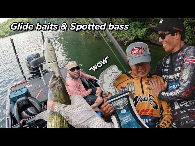 Glide baits & Spotted Bass - Smith Lake AL