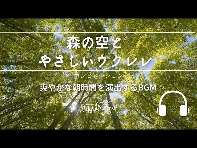 Natural Sonic「森の空とやさしいウクレレ」コンピレーション - 爽やかな朝時間を演出するBGM -