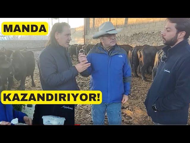 60 MANDA KAZANDIRIYOR! BAYILDIM! (Manda Sütünü Ürüne Çevirmişler)