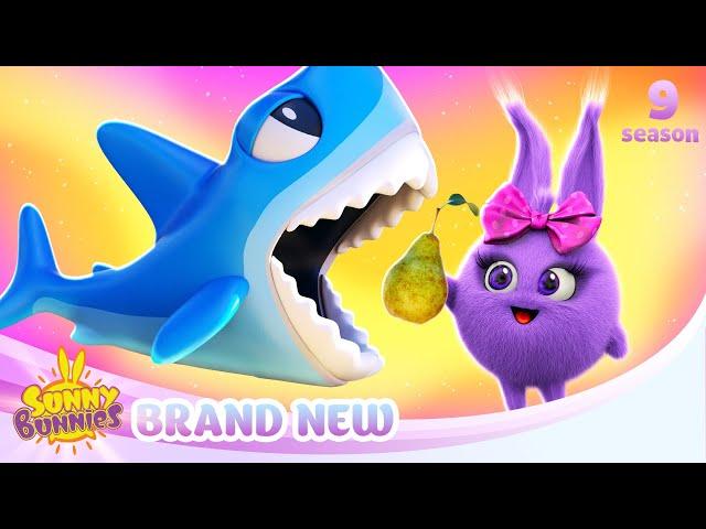 Sharky Fun - SUNNY BUNNIES | BRAND NEW EPISODE | Season 9 | Cartoons for Kids