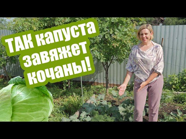 Что делать, если КАПУСТА НЕ ЗАВЯЗЫВАЕТСЯ? Разбираем 5 главных причин!