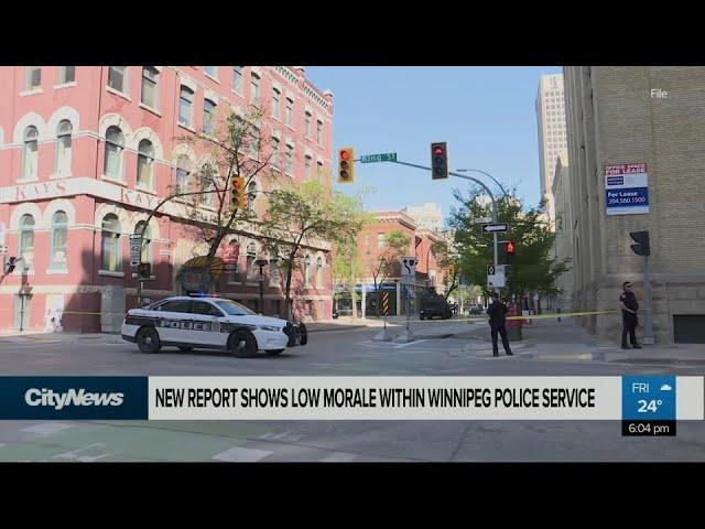 Report shows low morale within Winnipeg Police Service