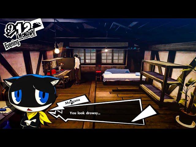 Bye Cat. Persona 5 Royal Blind Playthrough