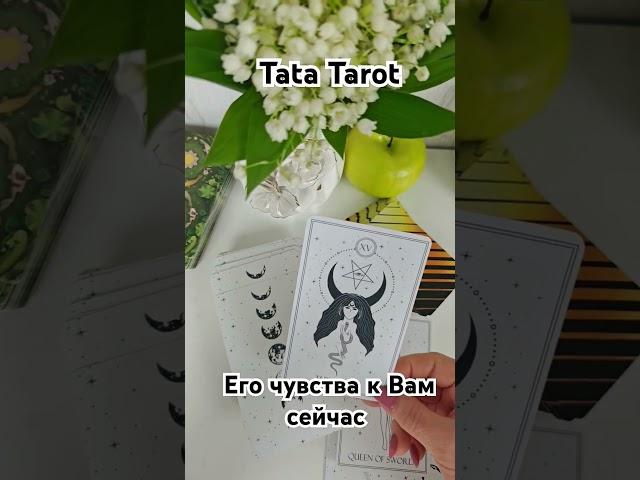 Его чувства к Вам сейчас ️ #обряды #талисмантаро #таро #таролог #эзотерика #tarot