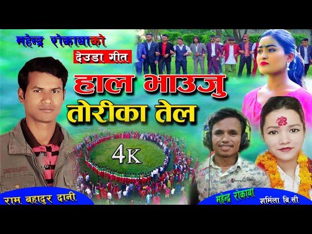 New Deuda Song 2023/2018 । हाल भाउजु ताेरीका तेल। By Mahendra Rokaya & Sharmila BC,Ram Bahadur Dani