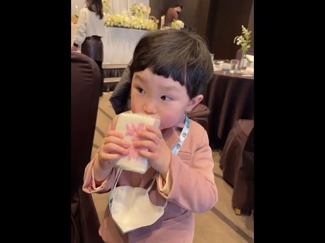 [일상의시안,육아일기:2편 먹방 돌떡]