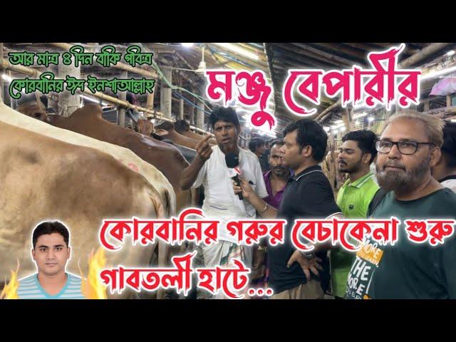 মন্জু বেপারীর কোরবানির গরু বেচা কিনা শুরু|জম জমাট গরুর বেচা বিক্রি শুরু|গাবতলী হাটে গরুর দর দাম